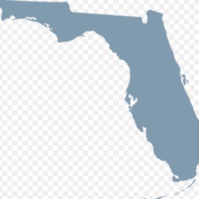 Telehealth, Telemedicine Guidelines Gain Momentum in Florida