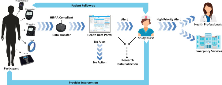 Feasibility and Acceptability of Using a Telehealth Platform to Monitor Cardiovascular Risk Factors - Study Image